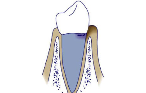 https://msdp.boostable.au/wp-content/uploads/2021/01/Image-3-1-2.png
