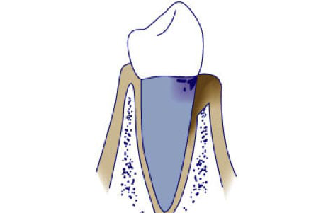 https://msdp.boostable.au/wp-content/uploads/2021/01/Image-3-1-4.png